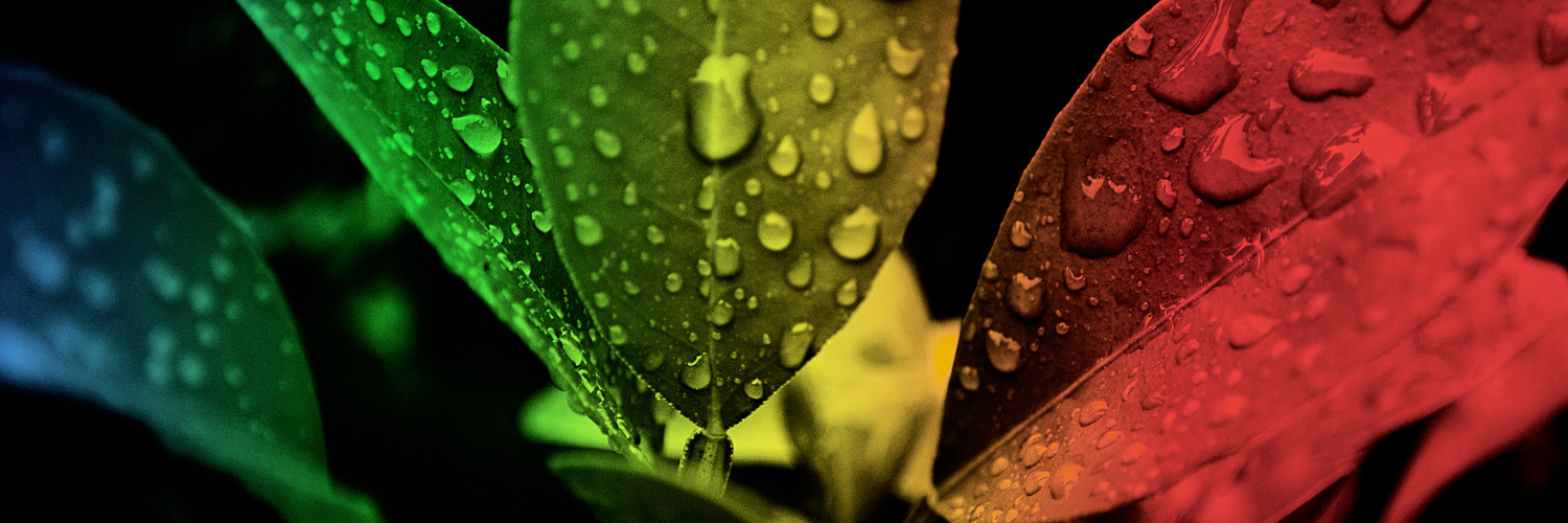 color grading with d-mac digital marketing agency